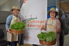 Programa Cultivar Energia inaugura primeira horta em Londrina