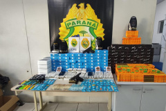 *Polícia Militar apreende mais de dois mil produtos com maconha líquida em Curitiba