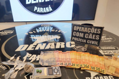 PCPR deflagra operação contra organização envolvida no tráfico de drogas e armas na região de Londrina