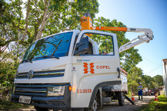 Copel realiza mutirão de manutenção preventiva das redes elétricas