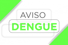 Paraná registra aumento de 48% dos novos casos de dengue com 572 confirmações