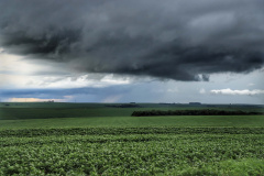 	Previsão de safras da Secretaria da Agricultura avalia impacto das chuvas nas lavouras 