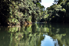 O Rio Guarani integra o CBH Baixo Iguaçu e passa pelos municípios de Três Barras do Paraná, Quedas do Iguaçu, Catanduvas, Espigão Alto do Iguaçu, Guaraniaçu e Nova Laranjeiras