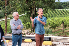 Revitalização da vitivinicultura paranaense é ressaltada em evento internacional