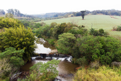 Comitê das Bacias dos Rios Pirapó, Paranapanema 3 e 4 (CBH Piraponema) se reúne na próxima terça-feira (17)