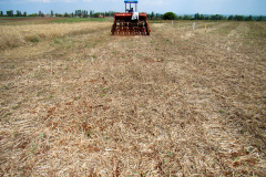 Plantio direto como prática de preservação do meio ambiente.  -  Foto:  Cézar Francisco Araujo Júnior/Iapar