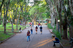 Universidade Estadual de Londrina. Foto: Jaelson Lucas/ANPr