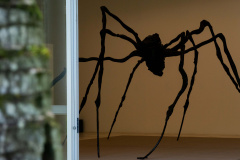 Museu Oscar Niemeyer recebe “Spider”, escultura de Louise Bourgeois .Foto: Daniela Paoliello - Divulgação/MON
