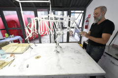 Alberto Salvetti utiliza estruturas de ferro e se inspira na anatomia dos javalis para suas esculturas.Foto: Kraw Penas/SECC