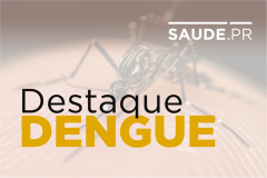 Com nova estação, Paraná intensifica prevenção contra dengue