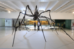 O Museu Oscar Niemeyer conta com as mostras Spider (Aranha), da artista francesa Louise Bourgeois, e Declaração de Princípios, que reúne trabalhos recentes e inéditos do artista paranaense Geraldo Leão. Foto: José Fernando Ogura/AEN
