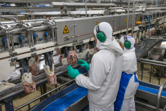 Produção industrial de alimentos cresce 8,9% no ano no Paraná. Foto: Geraldo Bubniak/AEN