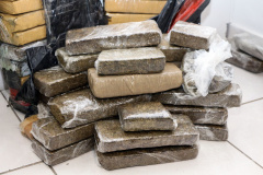 Polícias apreendem 107 toneladas de drogas de janeiro a setembro. 