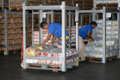 Mais de 1,8 mil toneladas de alimentos não perecíveis começaram a ser distribuídas para as mais de 2,1 mil escolas estaduais em todo o Paraná, nesta quarta-feira (15). Foto: Fundepar