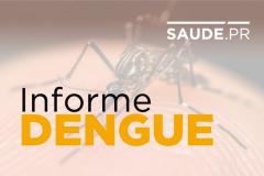 Saúde informa alteração nos números relativos à dengue