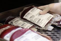 Redução no estoque de sangue preocupa a Secretaria da Saúde. Foto: Venilton Kuchler/Arquivo AEN
