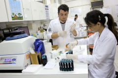 UEL lidera estudos científicos sobre coronavírus no Brasil
. Foto: UEL