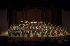 Orquestra Sinfônica fará nesta terça apresentação online. Foto: Maringas Maciel/Arquivo AEN