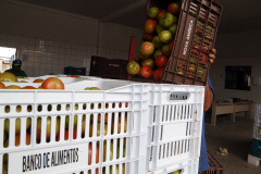  Bancos de Alimentos da Ceasa já distribuiu 970 toneladas neste ano. Foto: Gilson Abreu/AEN