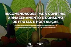 Cartilha da Ceagesp e Embrapa dá dicas de consumo de hortigranjeiros
