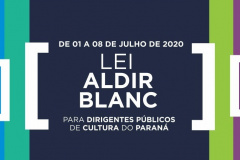 Cultura promove seminário online sobre Lei Aldir Blanc 
