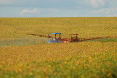 Adapar orienta sobre proibição de agrotóxicos com Paraquat. Foto: Jonas Oliveira/Arquivo AEN