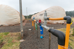 Mini usinas de biogás são exemplos de acessantes de geração distribuída no Paraná.