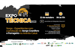 Cultivo do sorgo no Arenito Caiuá é tema de evento online