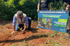 Paraná Mais Verde planta 1.500 árvores em Cianorte.Foto: IAT