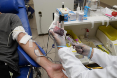 O Centro de Hematologia e Hemoterapia do Paraná (Hemepar) esclarece que pessoas  imunizadas contra a Covid-19 podem doar sangue. Basta aguardar o período estipulado para cada tipo de vacina.  -  Foto: Venilton Küchler/SESA/Arquivo AEN