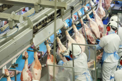 Paraná ampliou a produção e o protagonismo na cadeia de carnes em 2020. Foto:Jose Fernando Ogura/AEN
