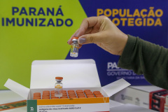 Paraná recebe mais 227,4 mil doses de vacina contra Covid-19 nesta sexta-feira
. Foto: Gilson Abreu/AEN