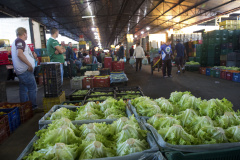 Os mercados das Ceasas de Londrina e Foz do Iguaçu abrem normalmente no próximo dia 21 de abril, quarta-feira, feriado nacional do Dia de Tiradentes. - Foto: CEASA