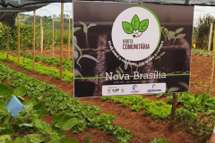 Moradores de Araruna ganham primeira Horta Comunitária. Foto:SEAB