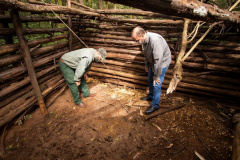 Projeto da UEPG analisa zoonoses relacionadas a javalis em parques do Paraná - Foto: SETI