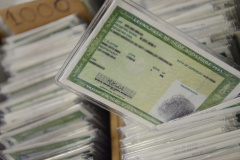 Polícia Civil emite mais de 49 mil carteiras de identidade no 1º quadrimestre
. Foto: Polícia Civil