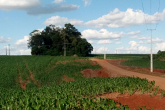 Vale do Ivaí recebe novas redes do Paraná Trifásico
. Foto: Copel