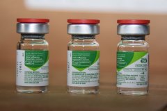 Última etapa da campanha de vacinação contra a gripe começa nesta quarta-feira. Foto: Américo Antonio/SESA