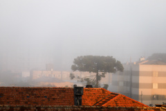 Simepar prevê inverno gelado e seco, com muito nevoeiro e alguns veranicos Foto: Geraldo Bubniak/AEN