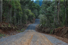 Governo autoriza aplicação de R$ 11,1 milhões em estradas rurais. Foto: Geraldo Bubniak/AEN