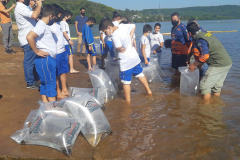 Paraná promove soltura de peixes nativos e educação ambiental durante eventos náuticos de pesca. Foto: SEDEST
