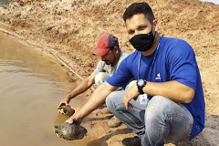 Tartarugas encontradas em estação de tratamento da Sanepar são soltas na natureza  -  Curitiba, 06/10/2021  -  Foto: Sanepar