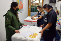 Saúde inicia nova distribuição de mais 671 mil doses aos municípios. Foto: Américo Antonio/SESA