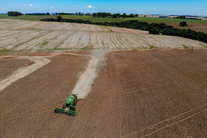 Vazio sanitário da soja inicia neste domingo para algumas regiões do Paraná